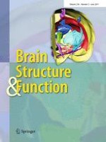 Brain Structure and Function 2/2011