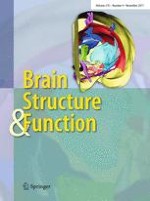 Brain Structure and Function 4/2011