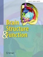 Brain Structure and Function 2/2012