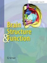 Brain Structure and Function 1/2013