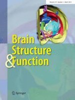 Brain Structure and Function 2/2014