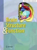Brain Structure and Function 5/2014
