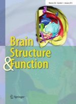 Brain Structure and Function 1/2015