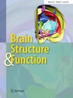 Brain Structure and Function 5/2016