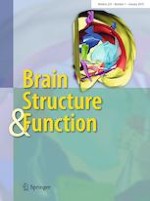 Brain Structure and Function 1/2019