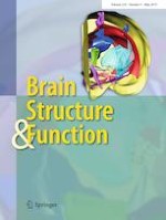 Brain Structure and Function 4/2019