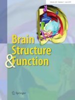 Brain Structure and Function 5/2019