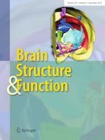 Brain Structure and Function 8/2019