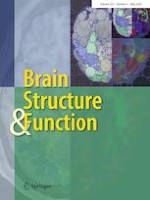 Brain Structure and Function 4/2020