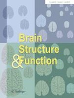 Brain Structure and Function 6/2020