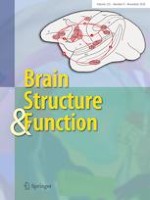 Brain Structure and Function 8/2020