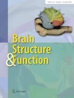 Brain Structure and Function 9/2020