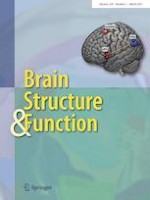 Brain Structure and Function 2/2021