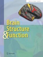 Brain Structure and Function 3/2021