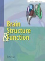 Brain Structure and Function 6/2021