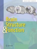 Brain Structure and Function 7/2021