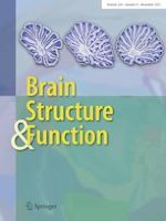 Brain Structure and Function 8/2021