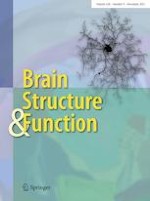 Brain Structure and Function 9/2021