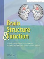 Brain Structure and Function 2/2022