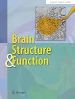 Brain Structure and Function 6/2022