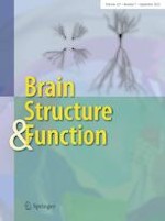 Brain Structure and Function 7/2022