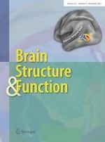 Brain Structure and Function 8/2022