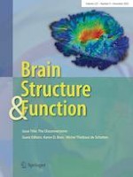 Brain Structure and Function 9/2022