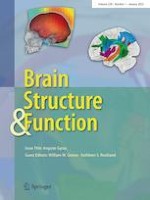Brain Structure and Function 1/2023