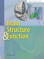 Brain Structure and Function 2/2023