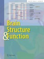 Brain Structure and Function 3-4/2023