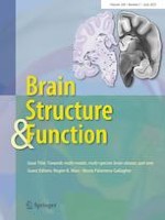 Brain Structure and Function 5/2023