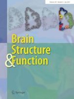 Brain Structure and Function 6/2023