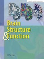 Brain Structure and Function 8/2023