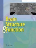 Brain Structure and Function 1/2024