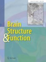 Brain Structure and Function 2/2024