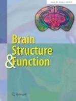 Brain Structure and Function 3/2024