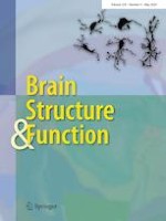 Brain Structure and Function 4/2024