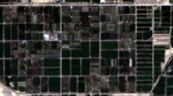 View full size image