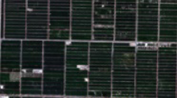 View full size image