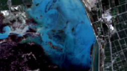 View full size image