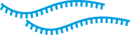 View full size image