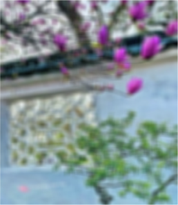 View full size image