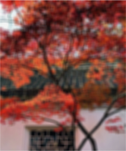 View full size image