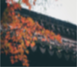 View full size image