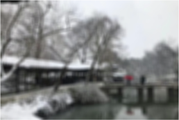 View full size image