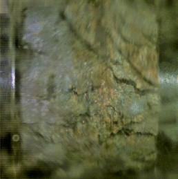 View full size image