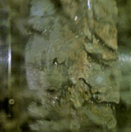 View full size image