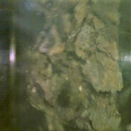 View full size image