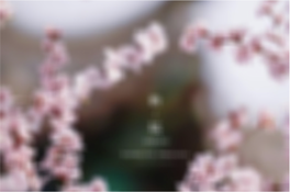 View full size image