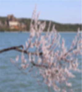 View full size image